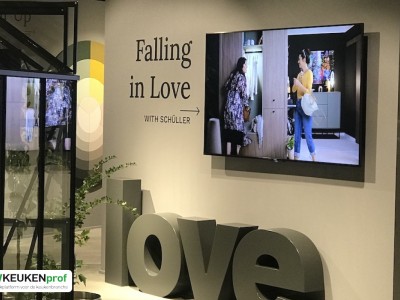 Falling in Love with SchÃ¼ller