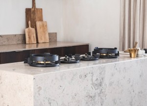 Ross Common Capital acquireert meerderheidsbelang in PITT cooking