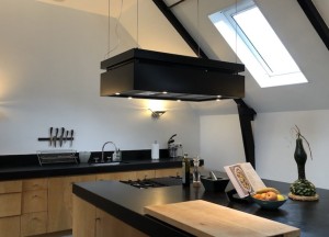 DomaplasmaÂ® zuivert de lucht en elimineert ook virussen & bacteriÃ«n