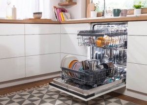 Deze maand 'rolt' de 1 miljoenste vaatwasser bij Pelgrim van de band