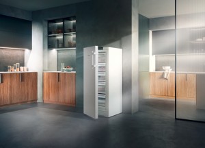's Werelds zuinigste diepvrieskast in energie-efficiëntieklasse B